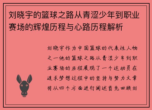 刘晓宇的篮球之路从青涩少年到职业赛场的辉煌历程与心路历程解析
