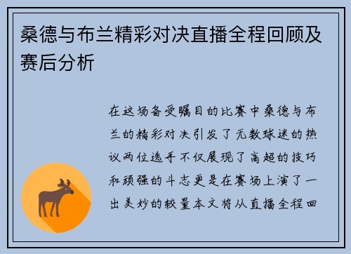 桑德与布兰精彩对决直播全程回顾及赛后分析