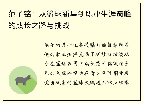 范子铭：从篮球新星到职业生涯巅峰的成长之路与挑战